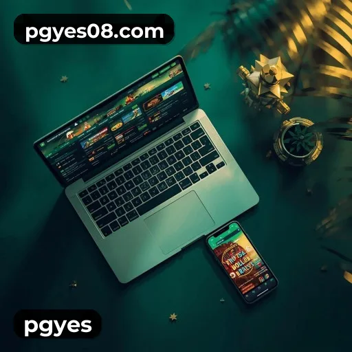pgyes visual 3